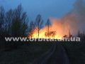 pojar_vetki1