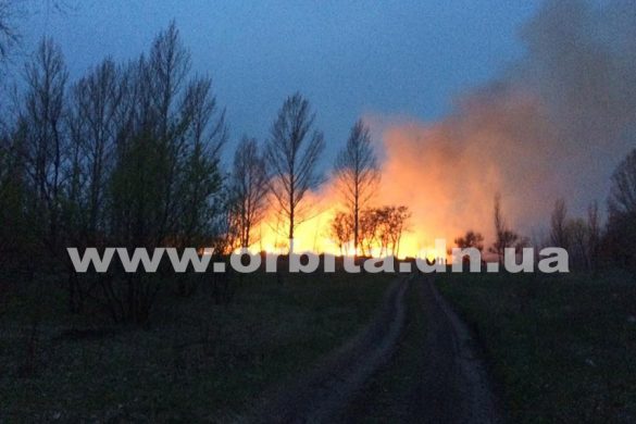 За парком «Юбилейный» в Покровске горит склад веток