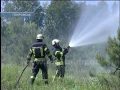В Покровске горел лес