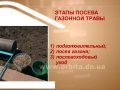 Как правильно сеять газонную траву