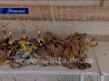 В Покровске впервые состоялся Чемпионат Донецкой области по черлидингу