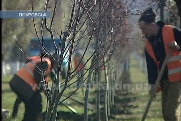 Год на посту. Роберт Семионкин делится достижениями и планами