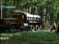 Парк «Юбилейный» после большого субботника преобразился
