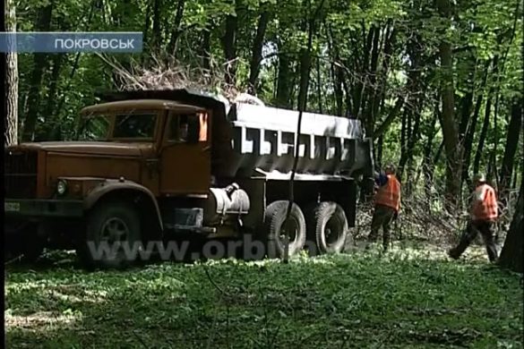 Парк «Юбилейный» после большого субботника преобразился