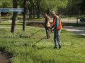 В Покровске коммунальщики приведут в порядок газоны