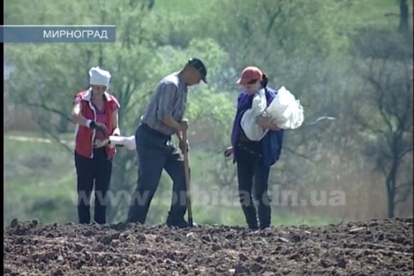 Работники ОФ «Богучарская» взялись за озеленение песчаного карьера