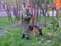 park_mirnograd_minirovanie_10