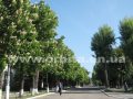 pogoda_vesna