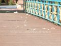 В Мирнограде вандалы разбили несколько фонарей