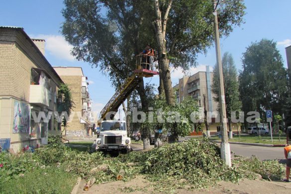 Почему в центре Покровска спилили зеленые деревья?