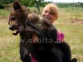 Как в домашнем зоопарке семьи Падалко дети ухаживают за живоными