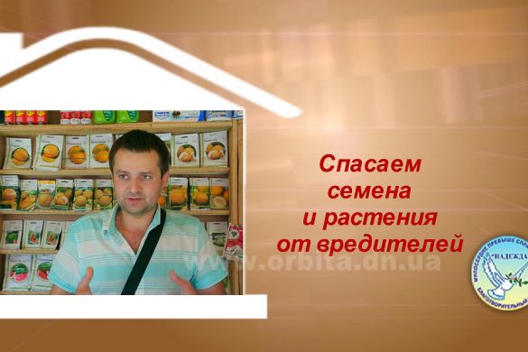 Дом советов 26.06.2017