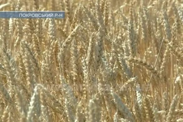 Задача №1 для аграриев – уберечь урожай от огня