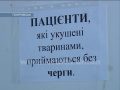 Бешенство в городе: есть ли вакцина для лечения людей?