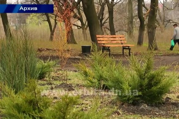 Родинские городские власти позаботились о досуге местных жителей