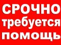 trebuetsa_pomosch12