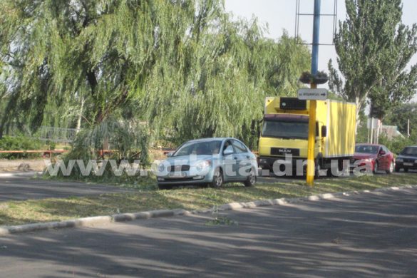 В Покровске упавшая ветка ивы едва не привела к аварийной ситуации