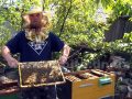 Дима Пальцун - школьник, увлеченный пчеловодством (HD)