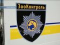Простерилизуют, наденут клипсы и… отпустят. В Покровске работает «Зооконтроль»