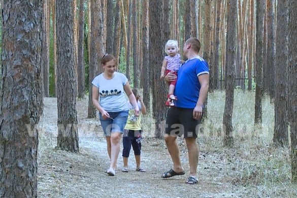 База отдыха «Сосна» - прекрасный отдых для  сотрудников шахтоуправления «Покровское» 