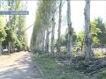 До самого главного праздника нашего региона - Дня шахтера и Дня города осталось всего полторы недели. Поэтому коммунальщики активно ведут работы по подготовке Покровска к масштабным народным гуляниям. На первом плане - вопросы благоустройства. Чем сегодня занимались сотрудники управления городского хозяйства?