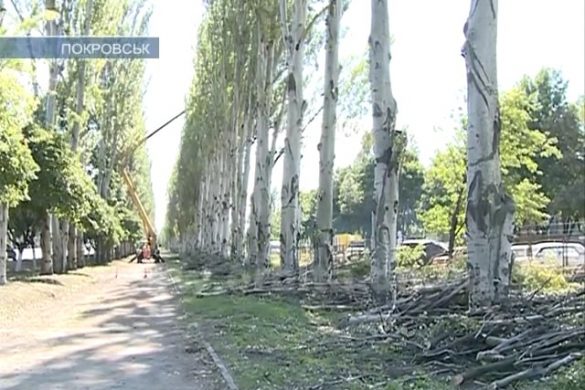 До самого главного праздника нашего региона - Дня шахтера и Дня города осталось всего полторы недели. Поэтому коммунальщики активно ведут работы по подготовке Покровска к масштабным народным гуляниям. На первом плане - вопросы благоустройства. Чем сегодня занимались сотрудники управления городского хозяйства?