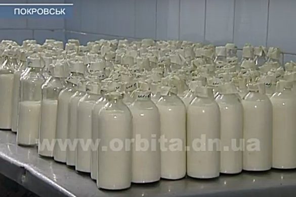 molochka
