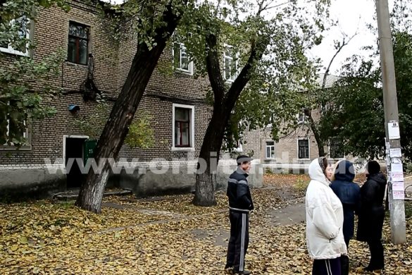 Житель города Родинского разбился, упав с дерева