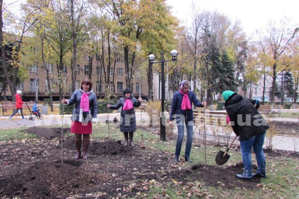 Бульвар Андрющенко в Покровске украсят японские сакуры