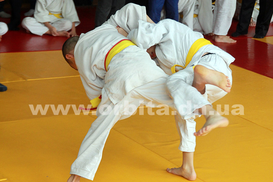 judo_mandrik17_05