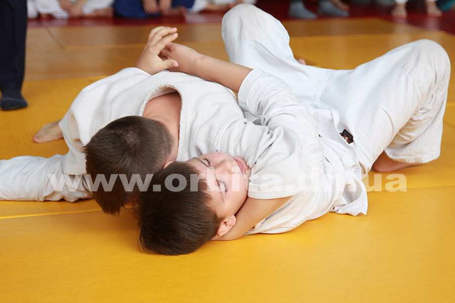 judo_mandrik17_07