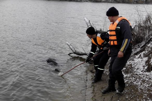 З водойми у Добропільському районі рятувальники вилучили тіло потонулої жінки