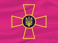 vsu_flag
