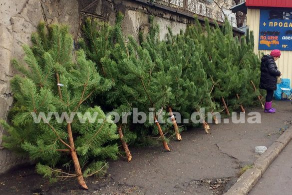 Почем новогодние елки в Покровске?