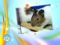 Выше крыши 01.11.2017