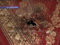 mpv-shot0004