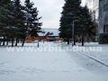 pogoda_sneg