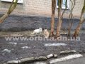 pogoda_vesna