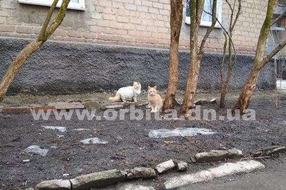 pogoda_vesna