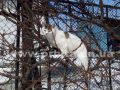 pogoda_vesna