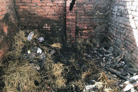 mirnogr_pojar_devochka