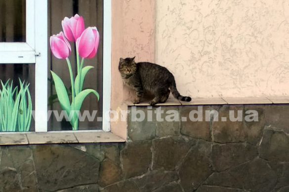 pogoda_vesna