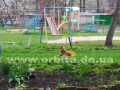pogoda_vesna