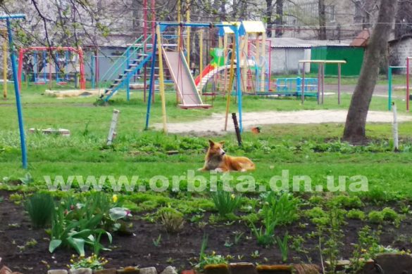 pogoda_vesna