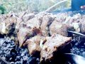 shashlik