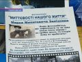 mpv-shot0005