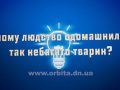 mpv-shot0010