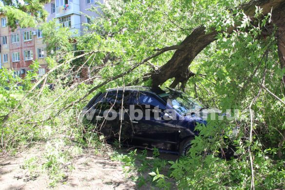 В центре Покровска старое дерево упало на автомобиль
