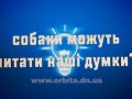 Собаки можуть читати наші думки?