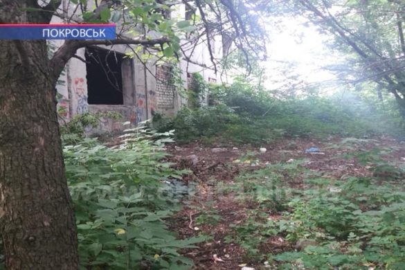 У Покровську активно борються зі стихійними звалищами